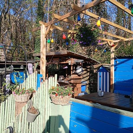 Maison 70M2 Calme Vue Sur Foret Salles  Esterno foto